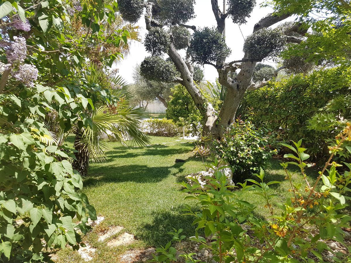 Villa Petra Chiara Locorotondo Buitenkant foto